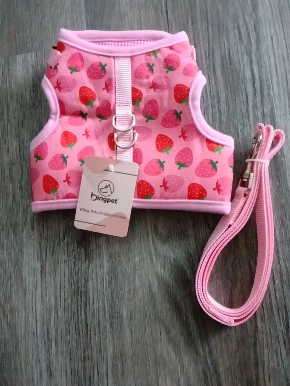 BINGPET Pet Harness and Leash Set Cat 😺  Size XL